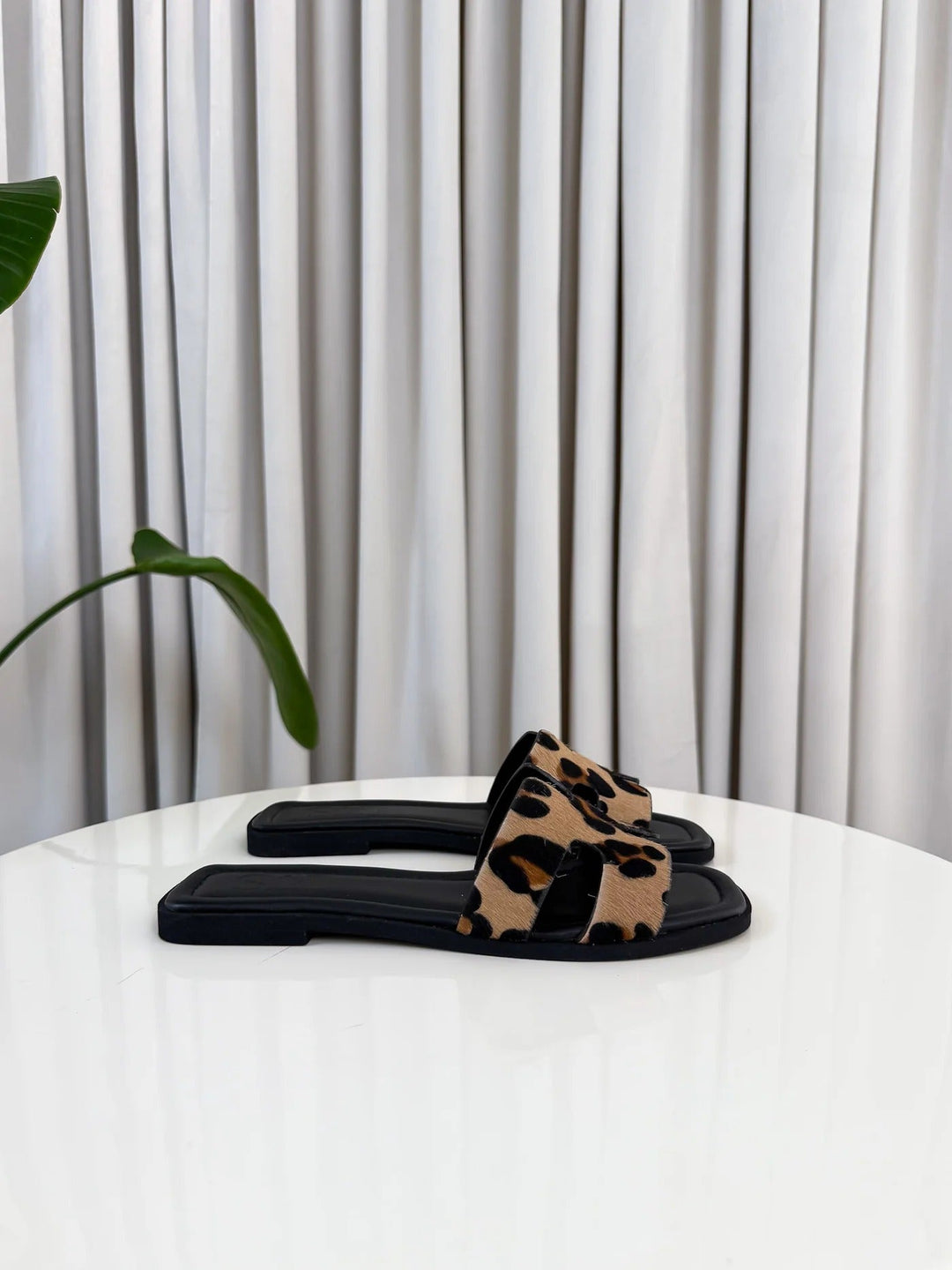 Everly & Rose | Exclusive Limited Edition